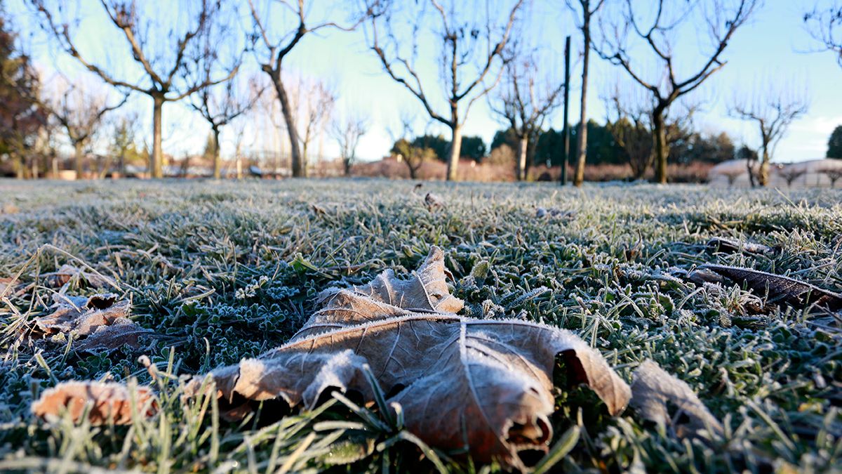 Bajas temperaturas en la capital leonesa. | CARLOS S. CAMPILLO (ICAL)