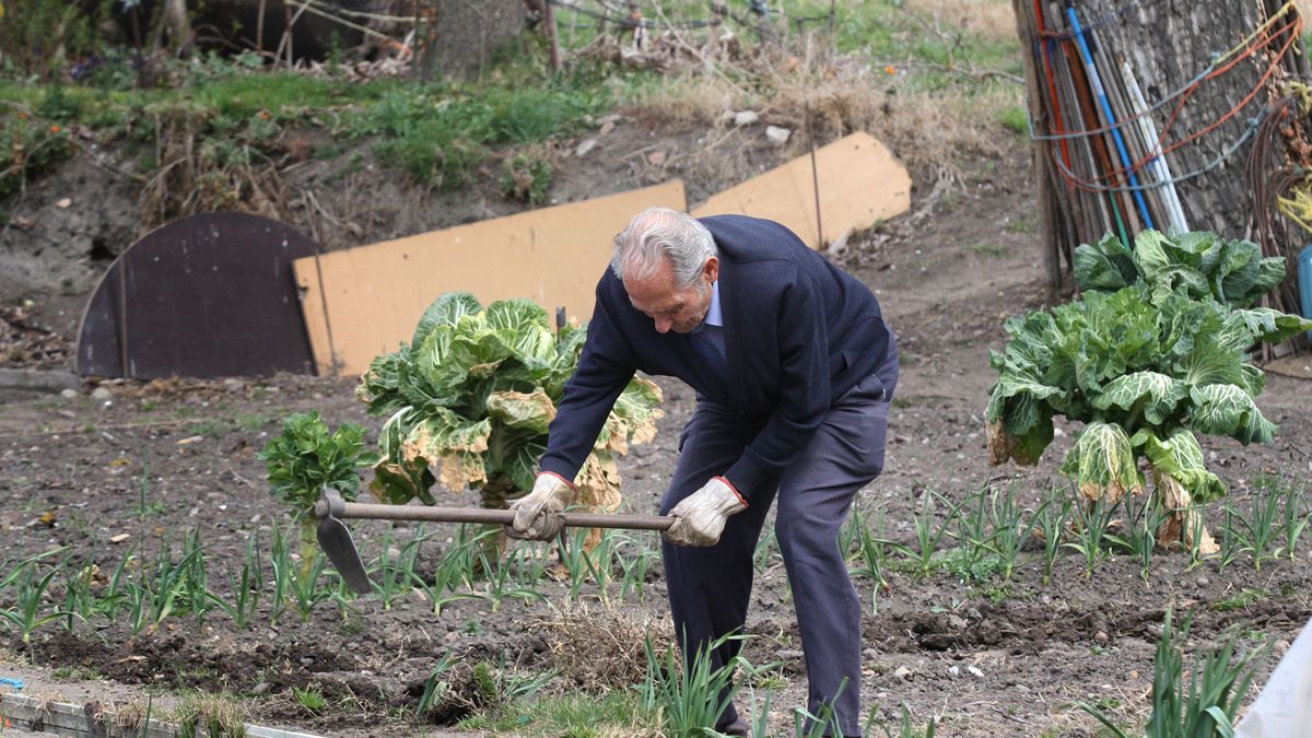 En localidades como Palencia se afianzan los huertos urbanos que el IMFE pretende empujar con formación. | ICAL
