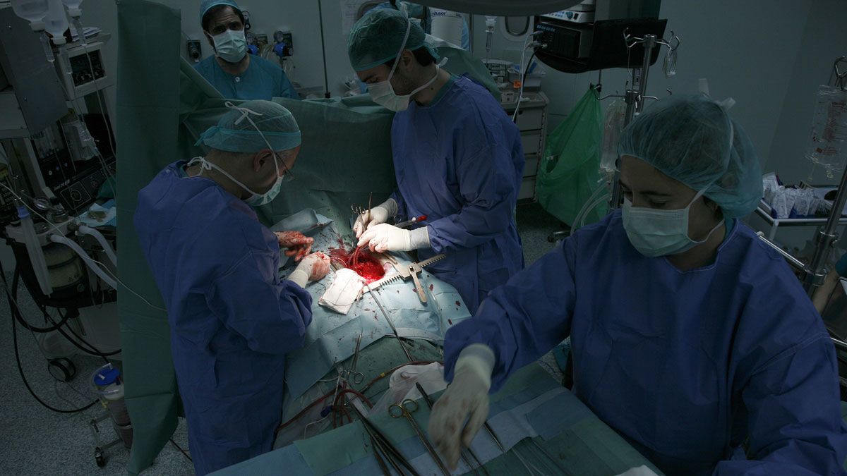 Durante el último ejercicio se extrajeron cinco corazones en el Hospital de León, que sirven para realizar otros tantos trasplantes. | EDUARDO MARGARETO (ICAL)