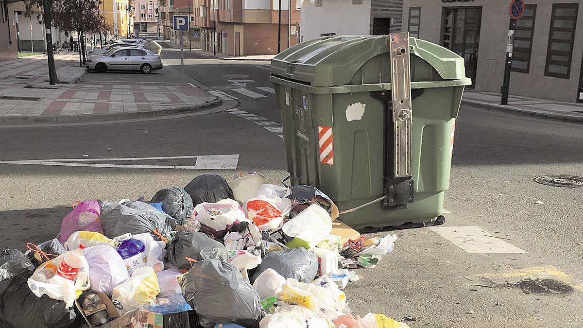 Aspecto que presentaba un contenedor de una calle de San Andrés del Rabanedo recientemente. | L.N.C.