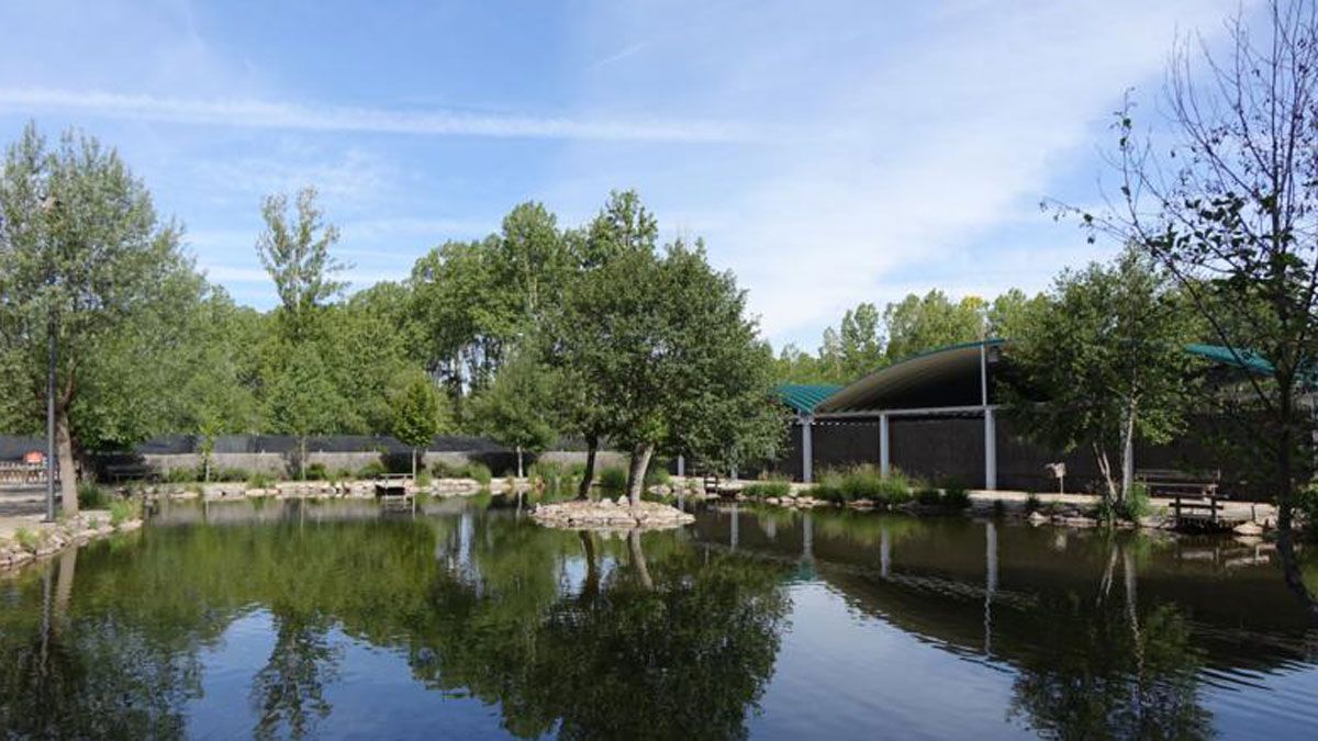 El Centro Piscícola de Vegas del Condado trata de preservar las especies autóctonas con diferentes técnicas. | L.N.C.