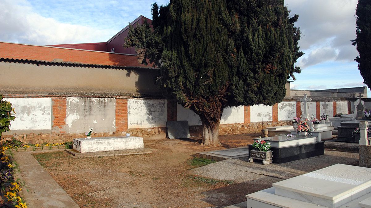 Los nichos se pretenden construir en la zona que ocupa la pared. | ABAJO