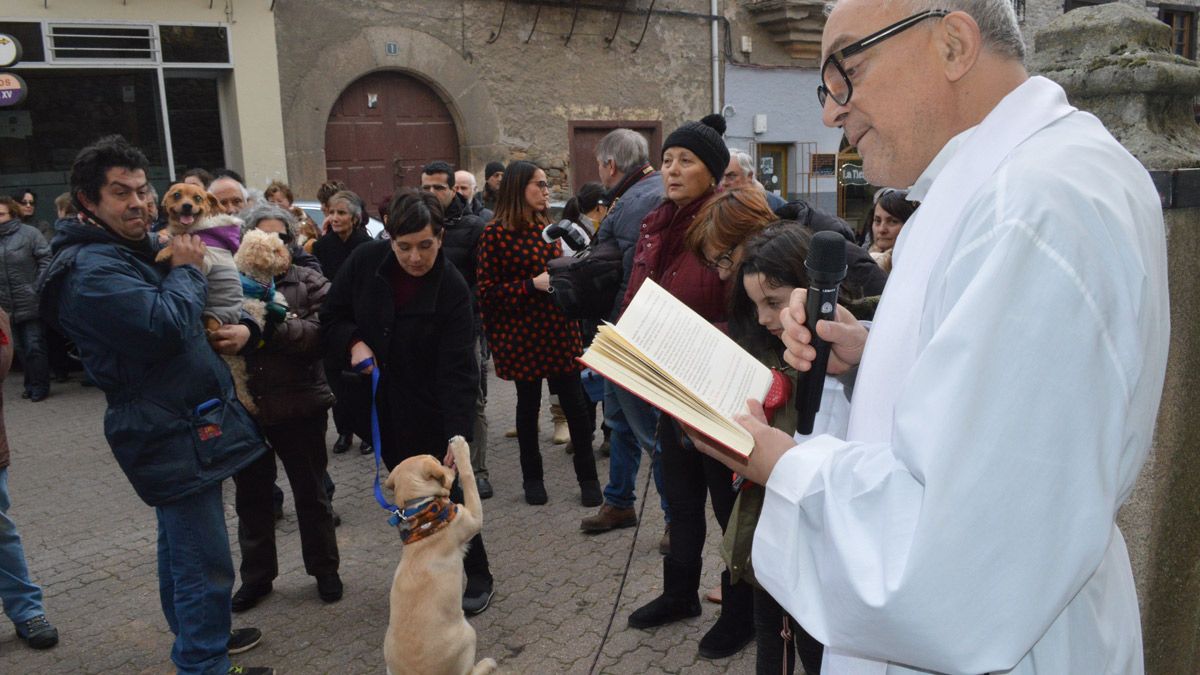 Momentos de la bendición de San Antón a las puertas de la iglesia de Santa María. | M.I.