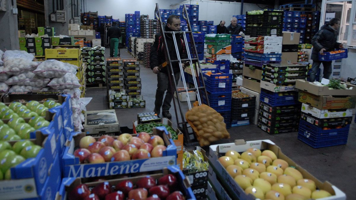 Trabajo frenético a primerísima hora de la mañana en las Instalaciones de Mercaleón. | MAURICIO PEÑA