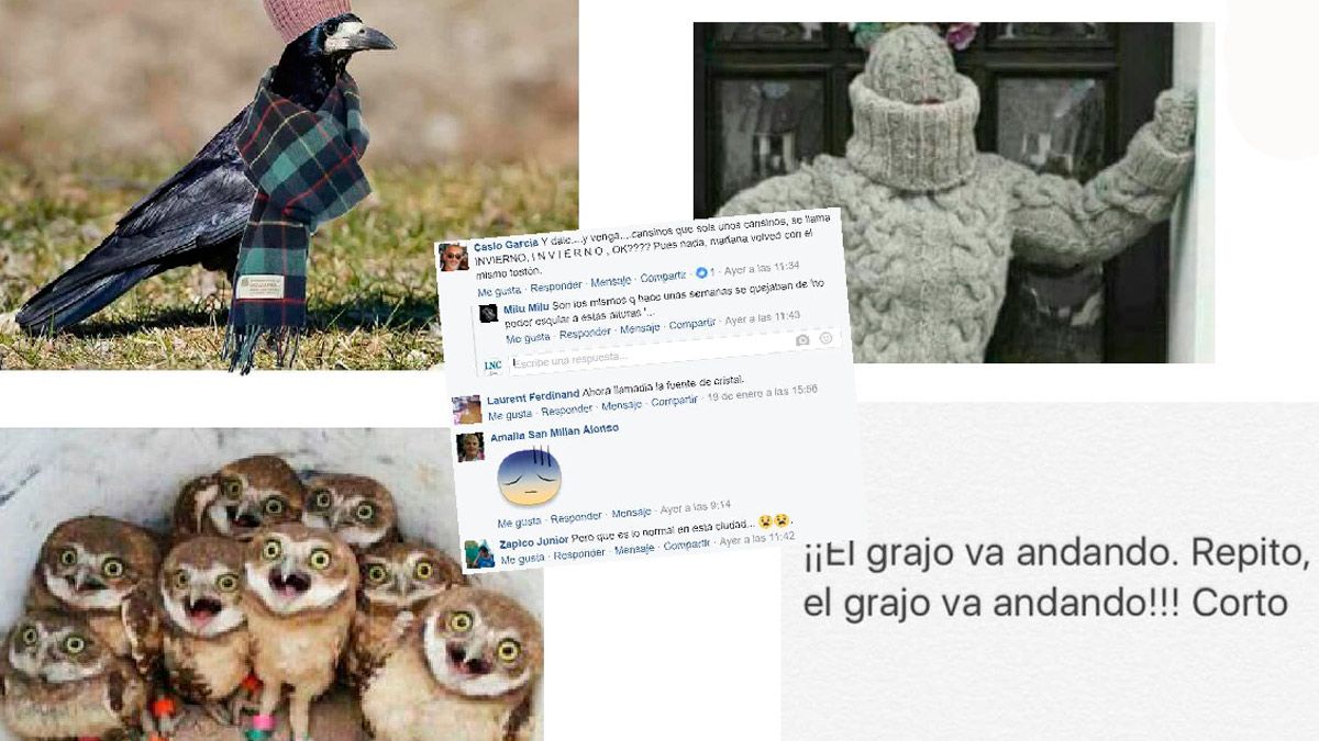 redes22117.jpg redes22117.jpg