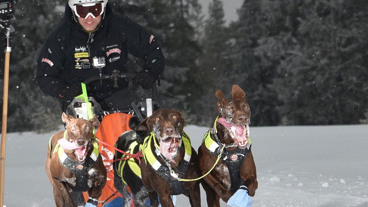 Javier del Canto, en plena competición con su trineo tirado por los perros sobre la nieve. | L.N.C.