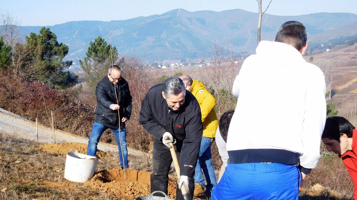 Alumnos de Proyecto Hombre realizando trabajos forestales.