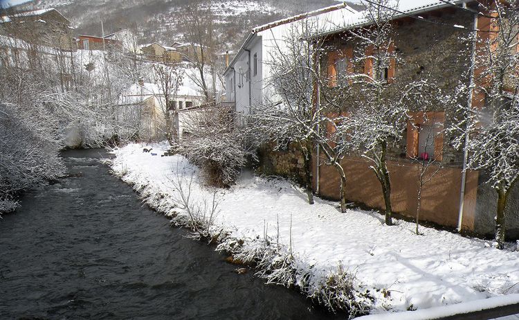 47075191.jpg