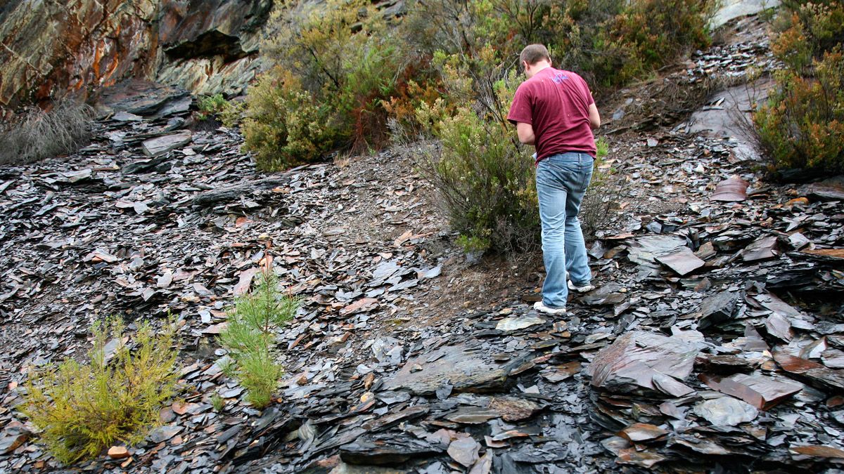 Imagen de la zona de los graptolitos en Salas de la Ribera, ahora, dañados por la intervención de Fomento. | ICAL