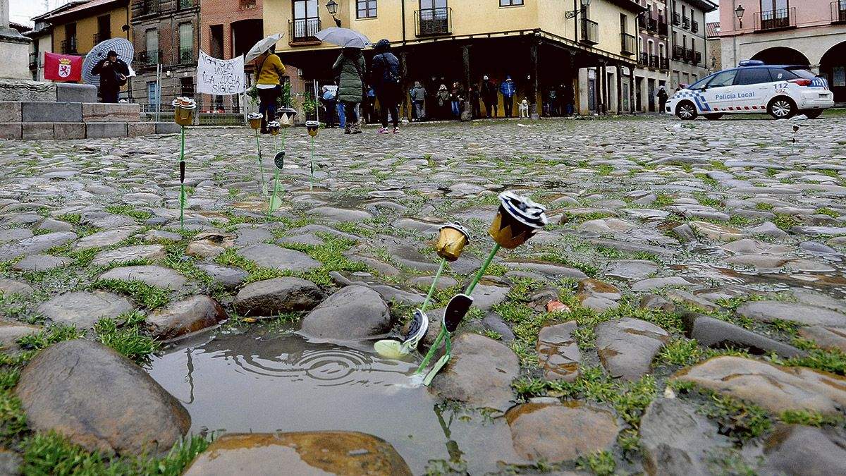 Algunas de las flores que a modo protesta por las obras colocaron este domingo en la plaza del Grano. | DANIEL MARTÍN