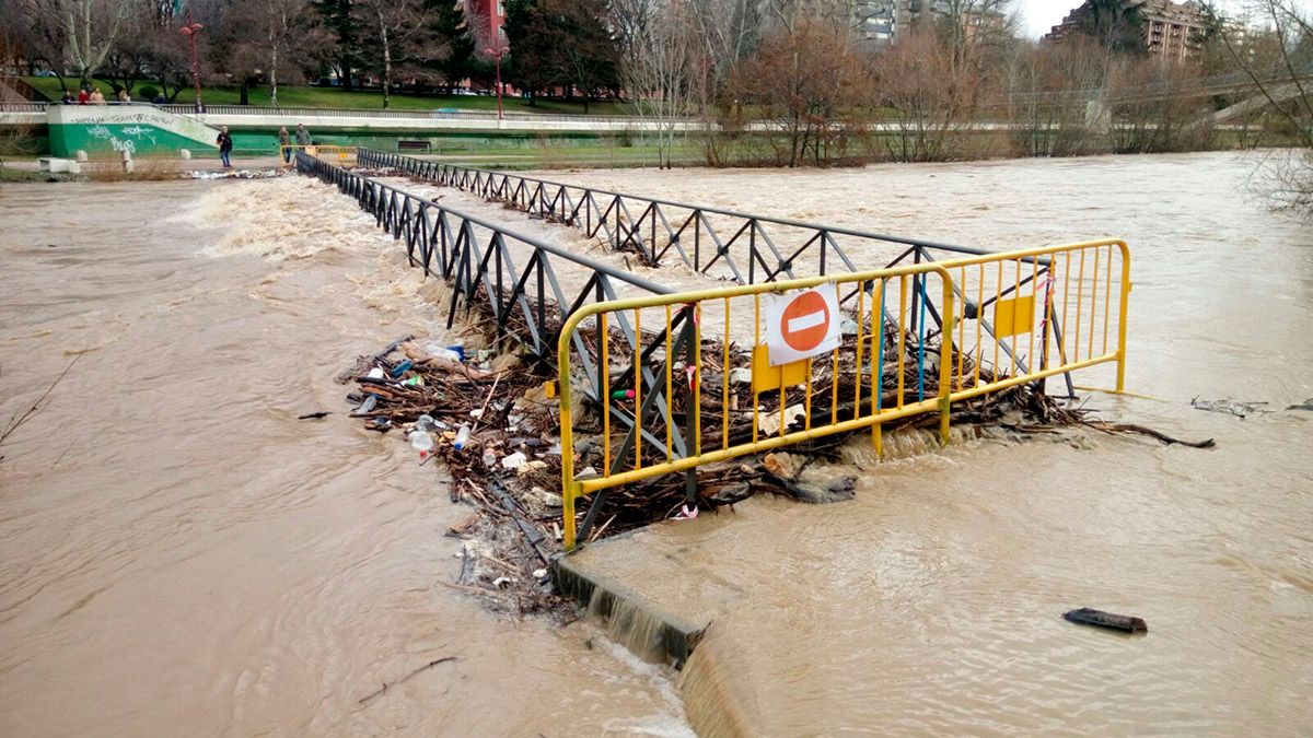 El Bernesga, este lunes por la mañana en León. | DANIEL MARTÍN