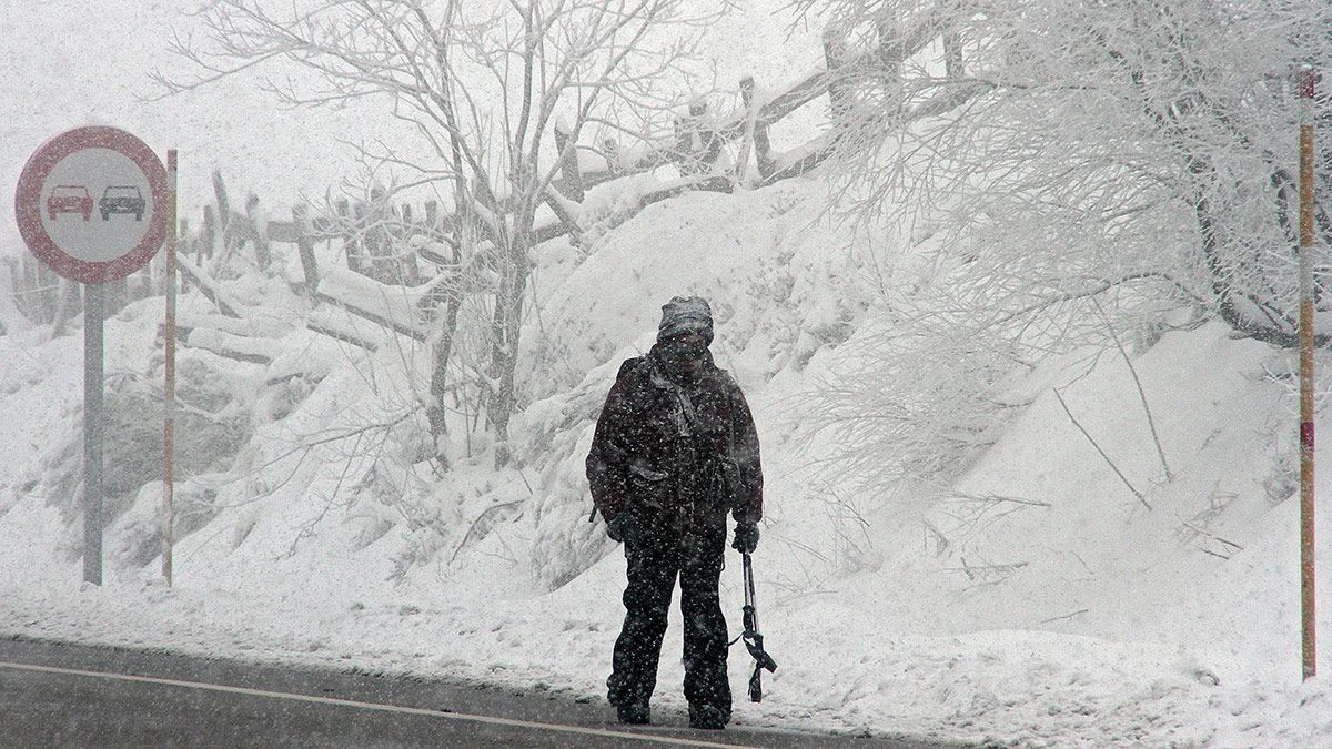 Imagen de archivo. | ICAL