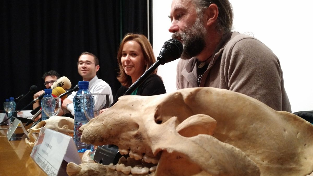 Intervinientes de la mesa redonda sobre el oso en el campus de Ponferrada. | M.I.