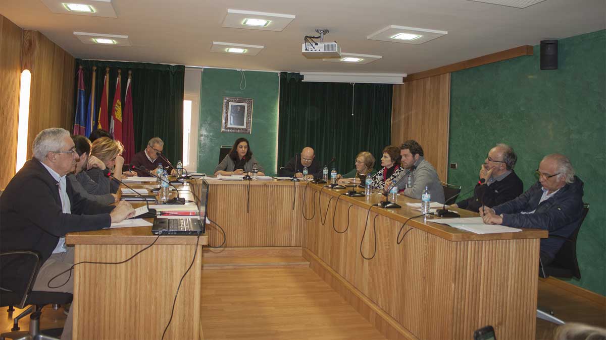 Imagen del pleno ordinario celebrado este lunes en Santa María. | T.G.