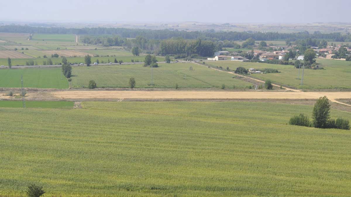 Vista general de fincas de regadío en el término municipal de Mansilla Mayor en uno de los sectores que votó en contra de la modernización. | DANIEL MARTÍN