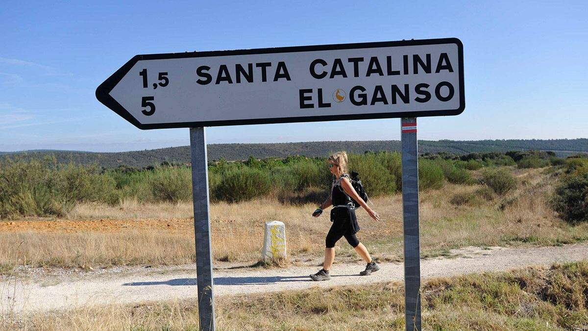 La Audiencia juzga el caso de la peregrina norteamericana asesinada en ...