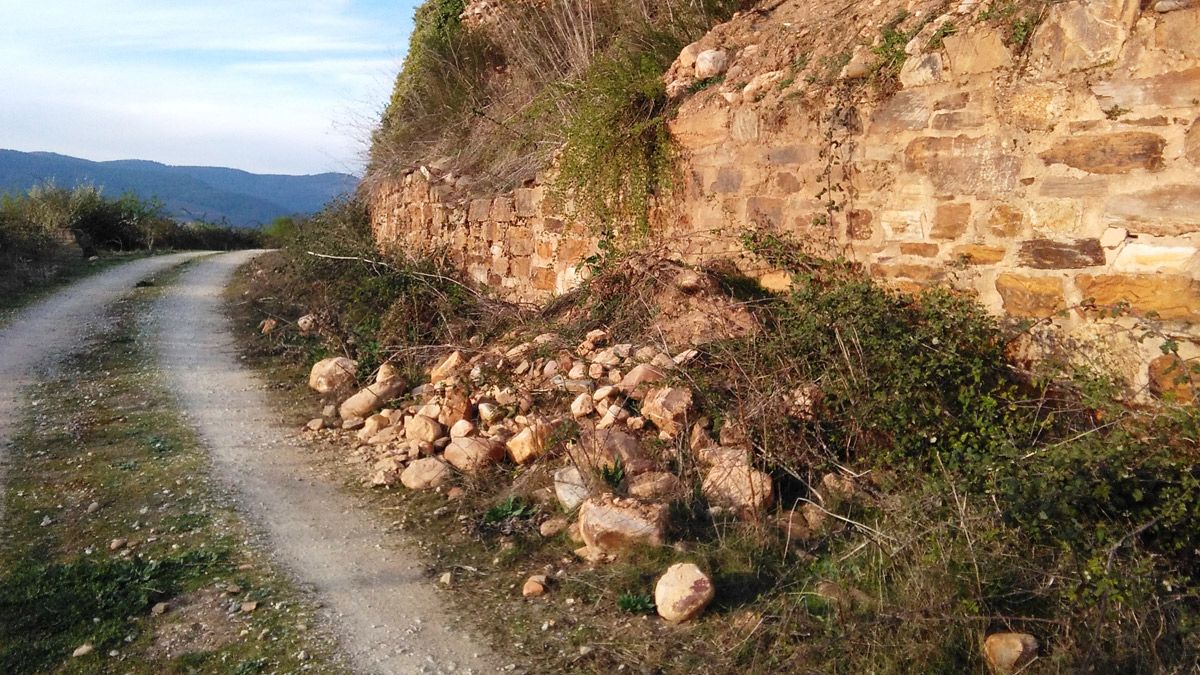 Una de las zonas de derrumbes en la muralla del castro, hacia la senda perimetral. D.M.