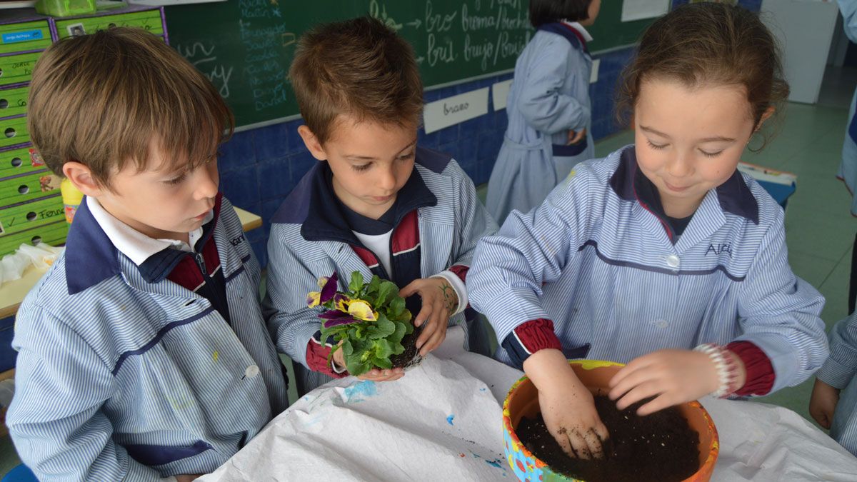 Tres pequeños decoran alguna macetas del colegio. | L.N.C.