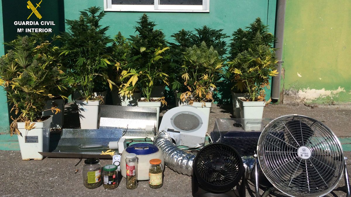 La plantación contaba con sistema de extracción, refrigeración e iluminación. | GUARDIA CIVIL La plantación contaba con sistema de extracción, refrigeración e iluminación. | GUARDIA CIVIL