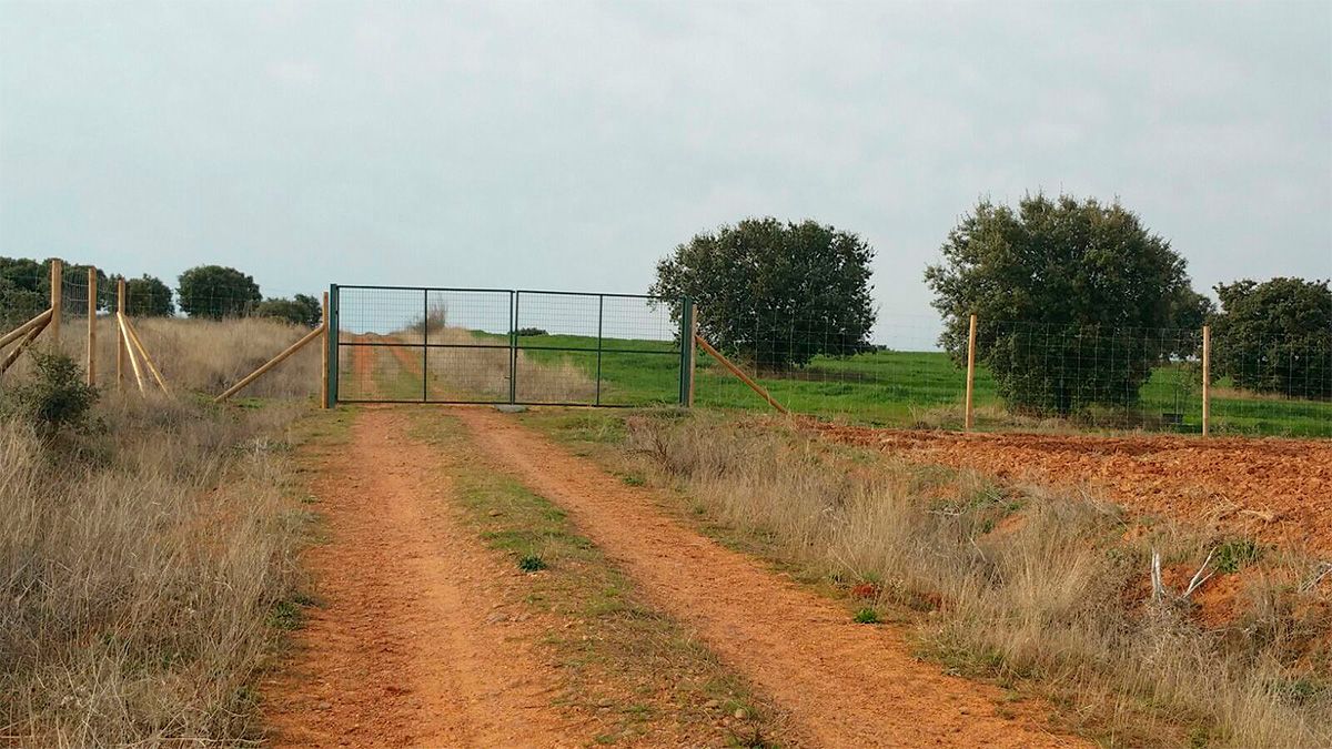 La puerta que han colocado en medio del camino agrícola. | T.G.