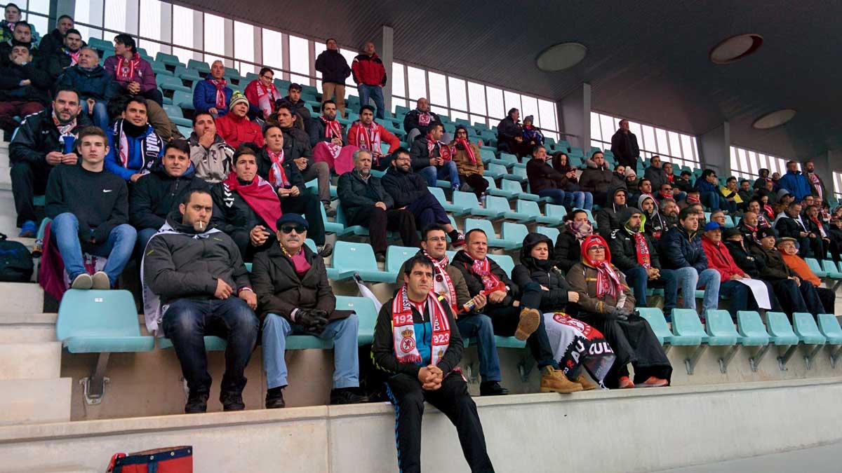 Aficionados culturalistas siguen al equipo en las gradas del Palencia. | J.C.