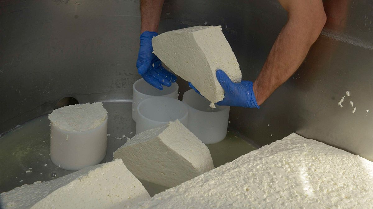 El curso tendrá al final una parte práctica. | MAURICIO PEÑA