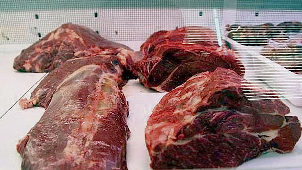 Descartado el peligro para la salud pública tras el fraude de la venta de carne equina no apta. | L.N.C.