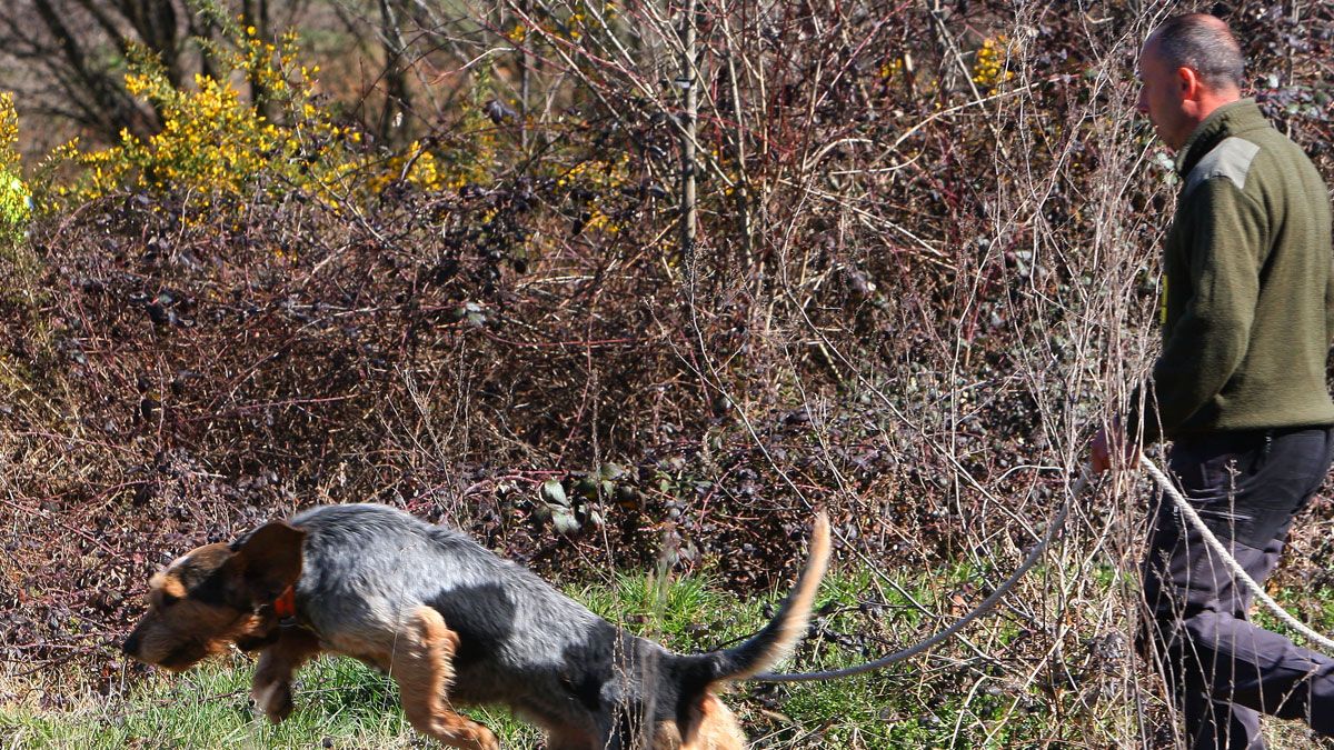 Participantes de la prueba de rastro de jabalí con perro atraillado | CÉSAR SÁNCHEZ (ICAL)