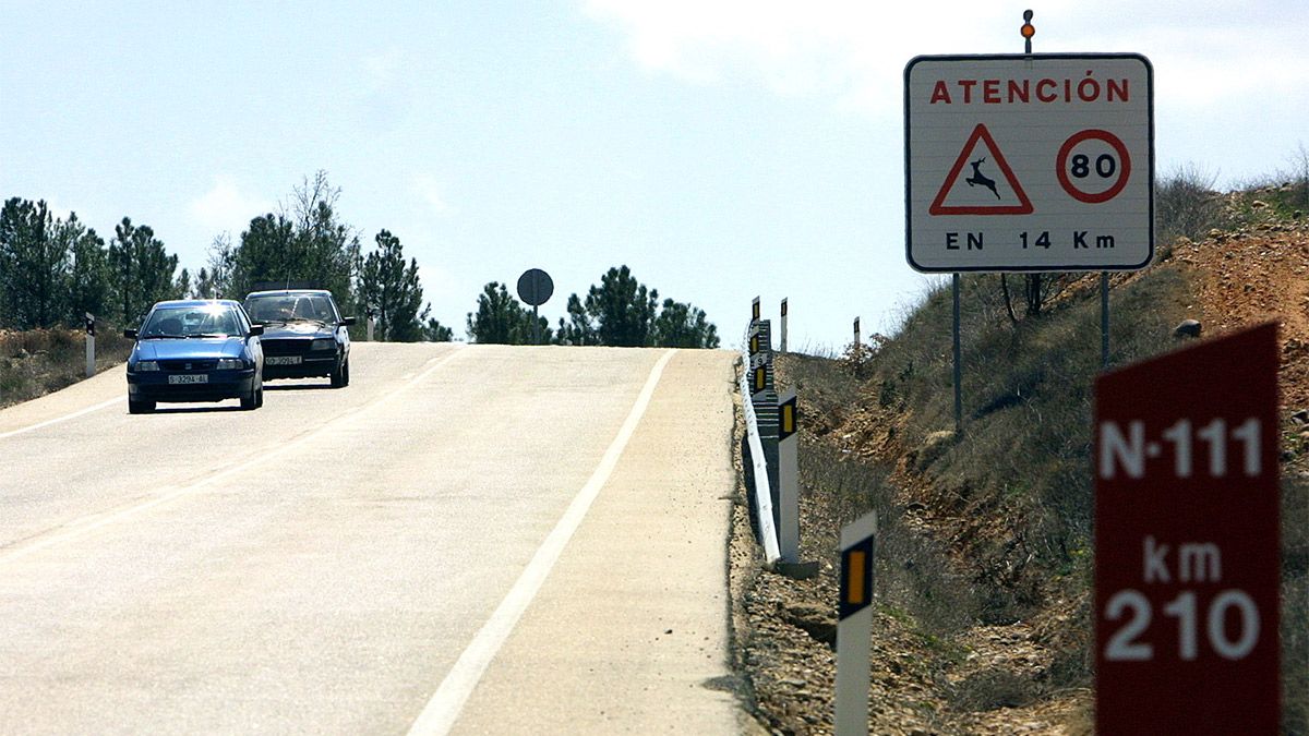 Un año antes (con todos los meses contabilizados) fueron 1.335 los accidentes con animales, un 6% menos que en 2016. | ICAL