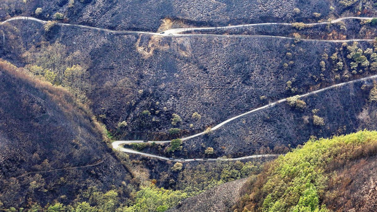 Una desoladora imagen de las consecuencias del incendio de La Tebaida Berciana, que quemó 1.200 hectáreas el pasado mes de abril. :: ICAL