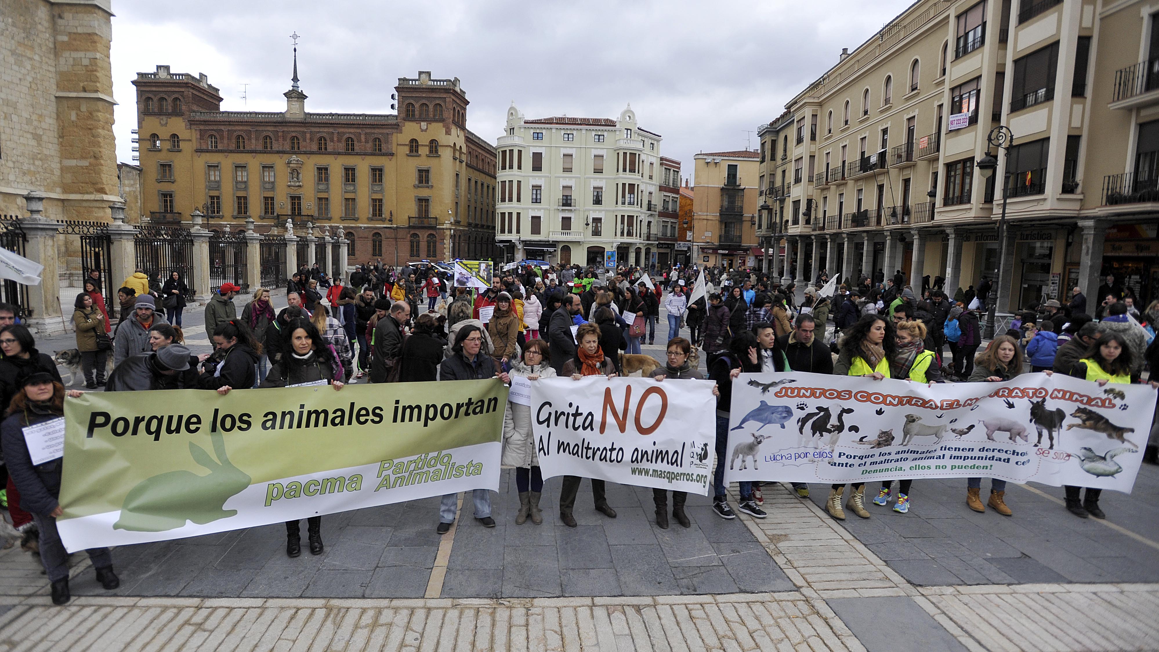 Imagen de la marcha por los animales en León. | DANIEL MARTÍN