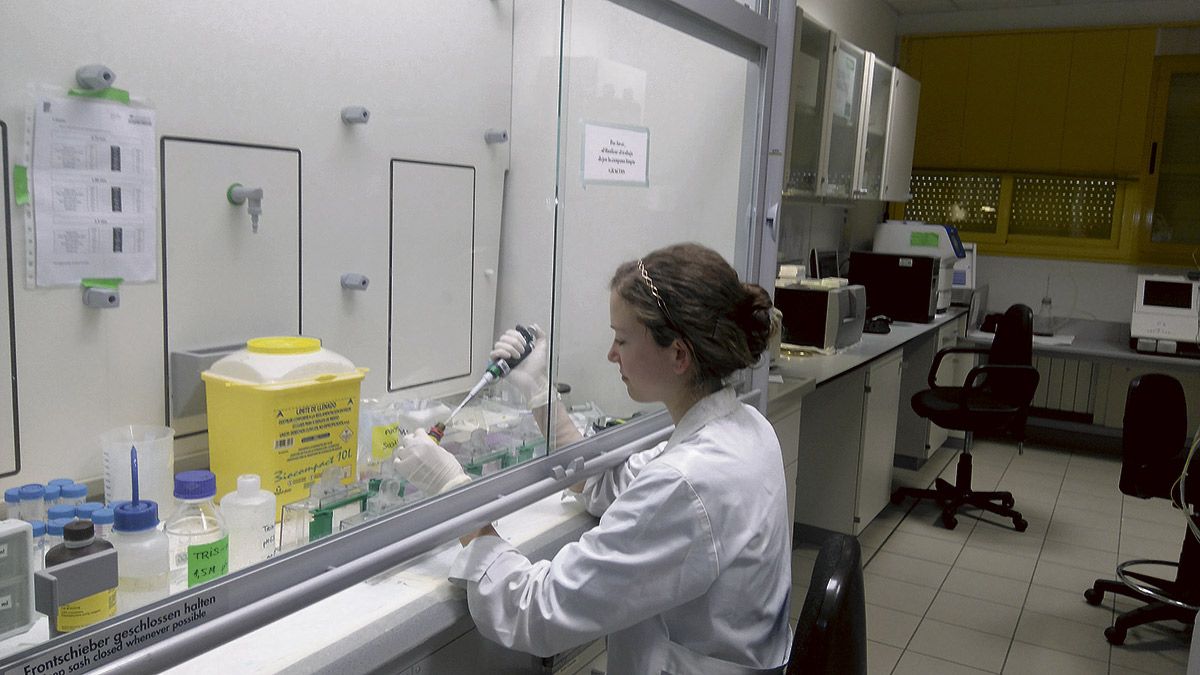 La investigadora del Ibiomed Diana Sánchez, la primera becada por la AECC en León. | L.N.C.