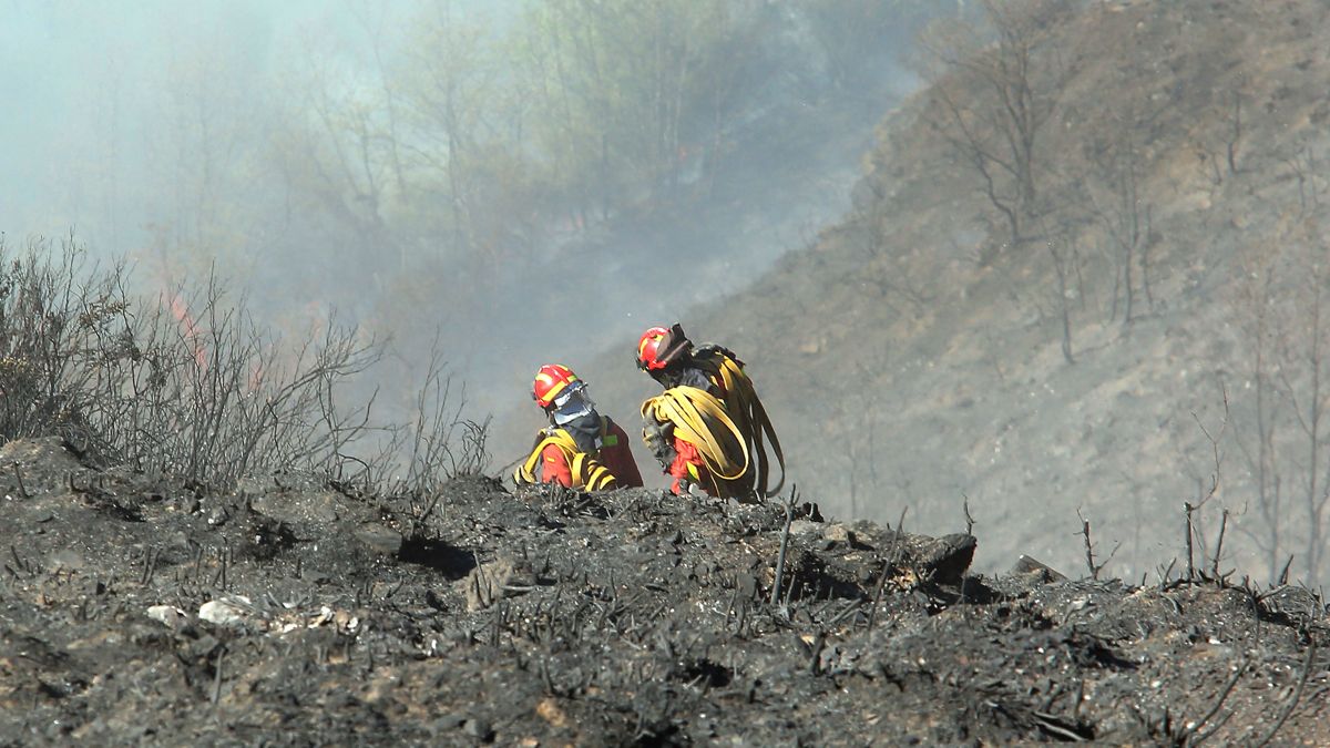 Aire Limpio pide responsabilidades sobre el incendio de la Tebaida.| ICAL