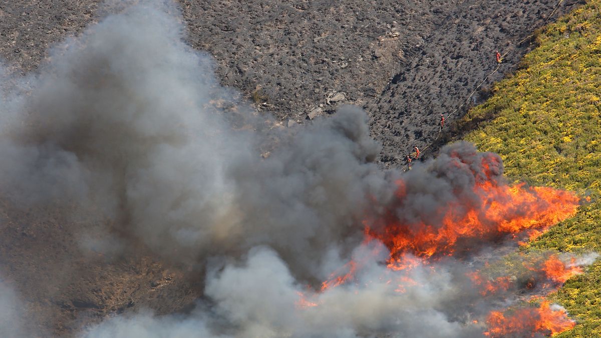 Los bosques quedaron arrasados por el incendio de abril.  | ICAL