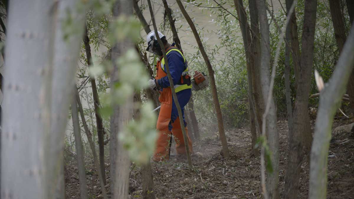 Imagen de archivo de un trabajador en tareas forestales. | MAURICIO PEÑA