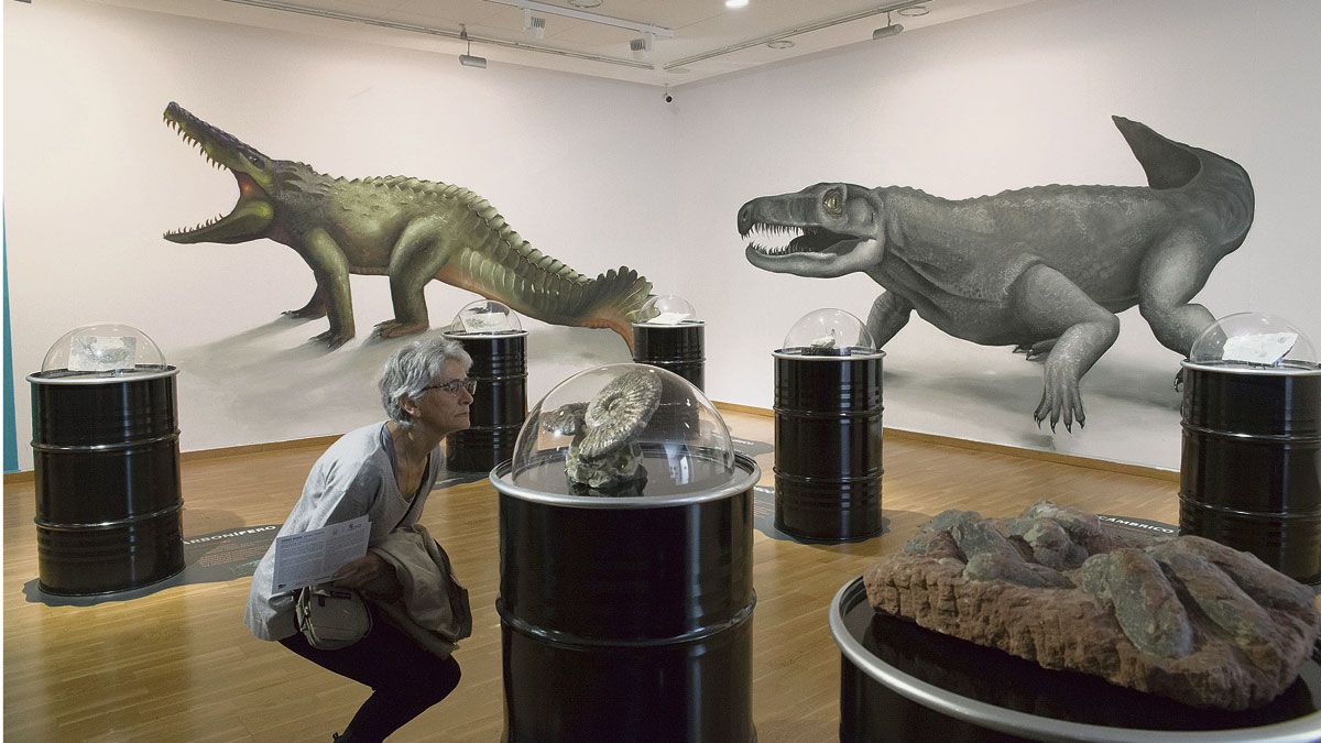 Vista de una de las plantas de la exposición de Fósiles que José Vicente Casado llevó las salas del Museo de la Siderurgia y la Minería de Sabero.