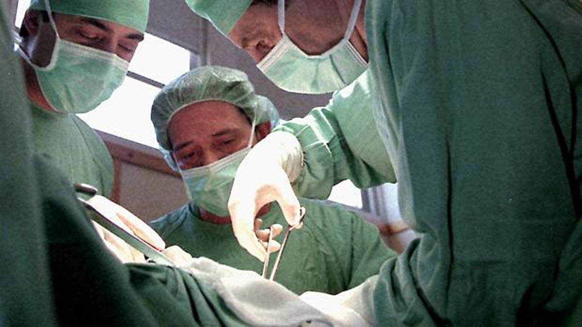 León eleva a 162 el número de donantes de órganos. | ABC