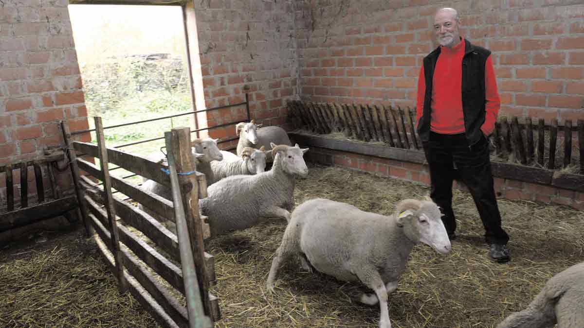 La ministra de Fomento, Ana Pastor. | ICAL La ministra de Fomento, Ana Pastor. | ICAL