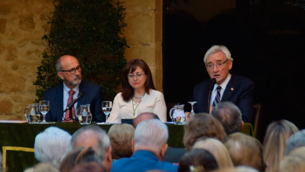 Momentos del discurso de Del Olmo en Cádiz. | C. CHERBUY