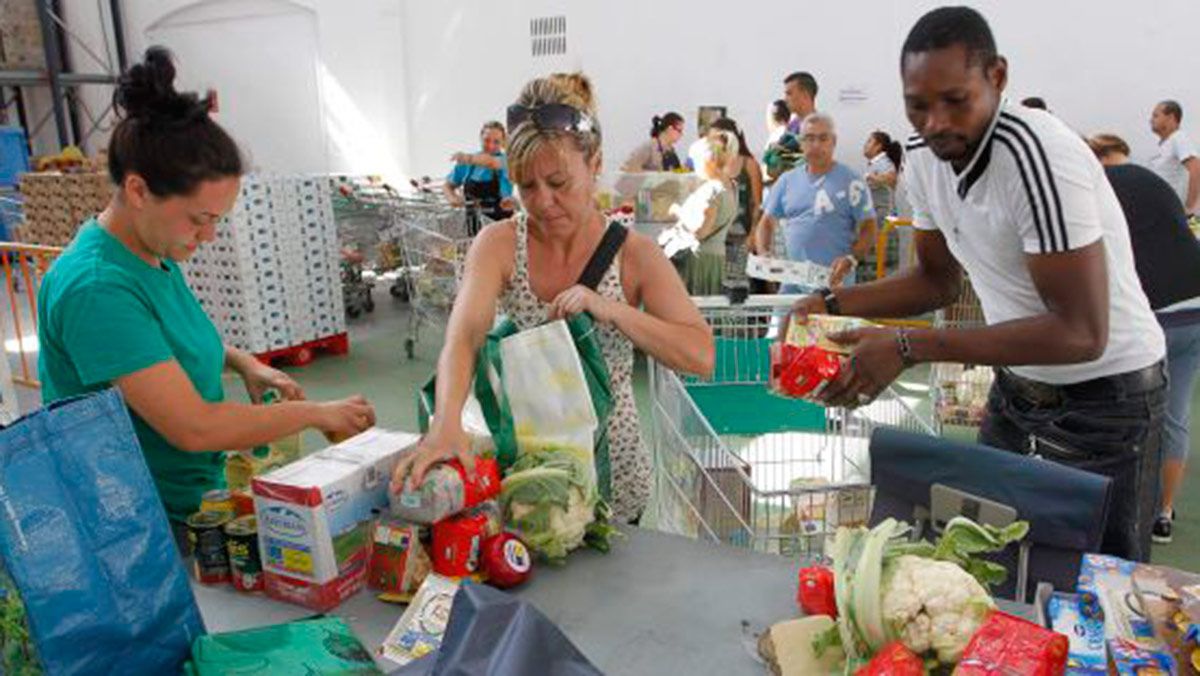colegio-leones-solidario-12617.jpg
