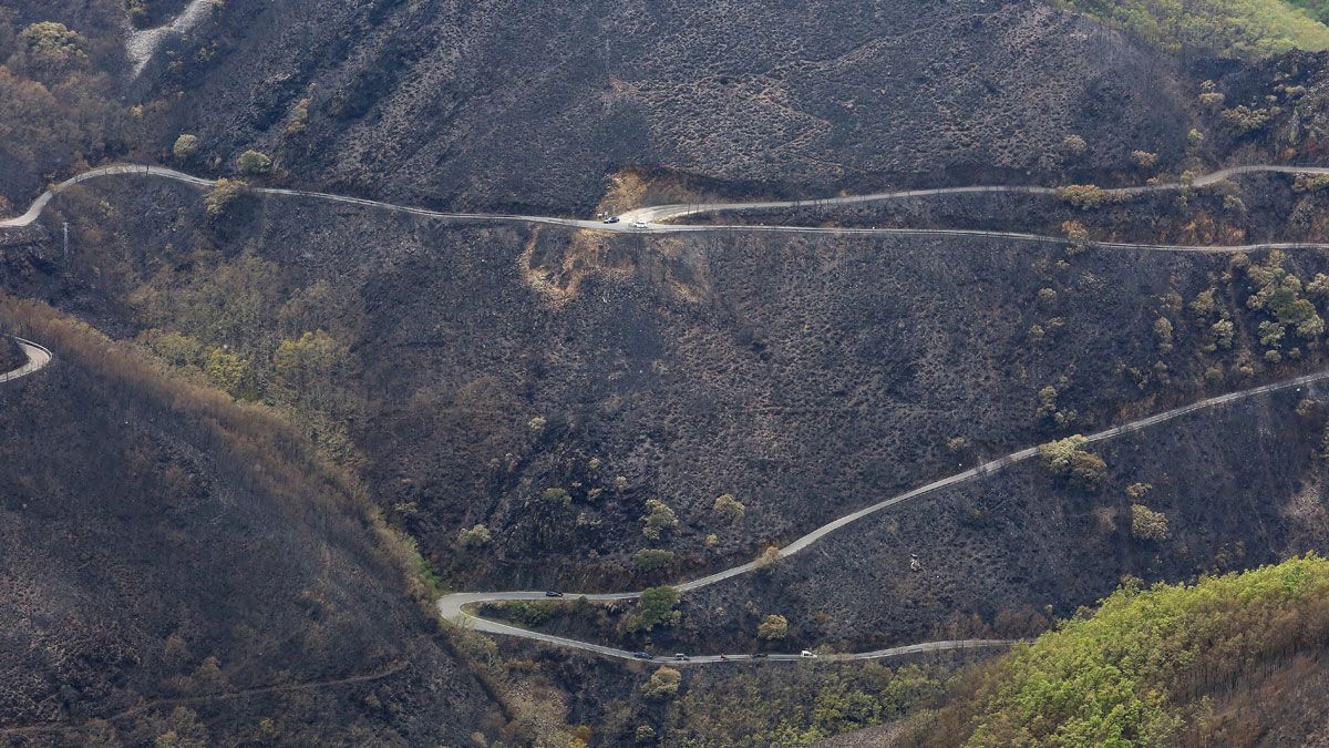 Paisaje tras el incendio de la Tebaida. | CÉSAR SÁNCHEZ (ICAL)