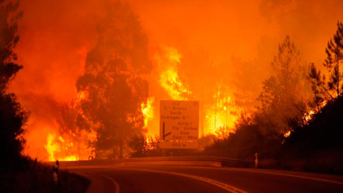 La virulencia de las llamas apenas dio opción a los cuerpos de salvamento. | ABC.ES