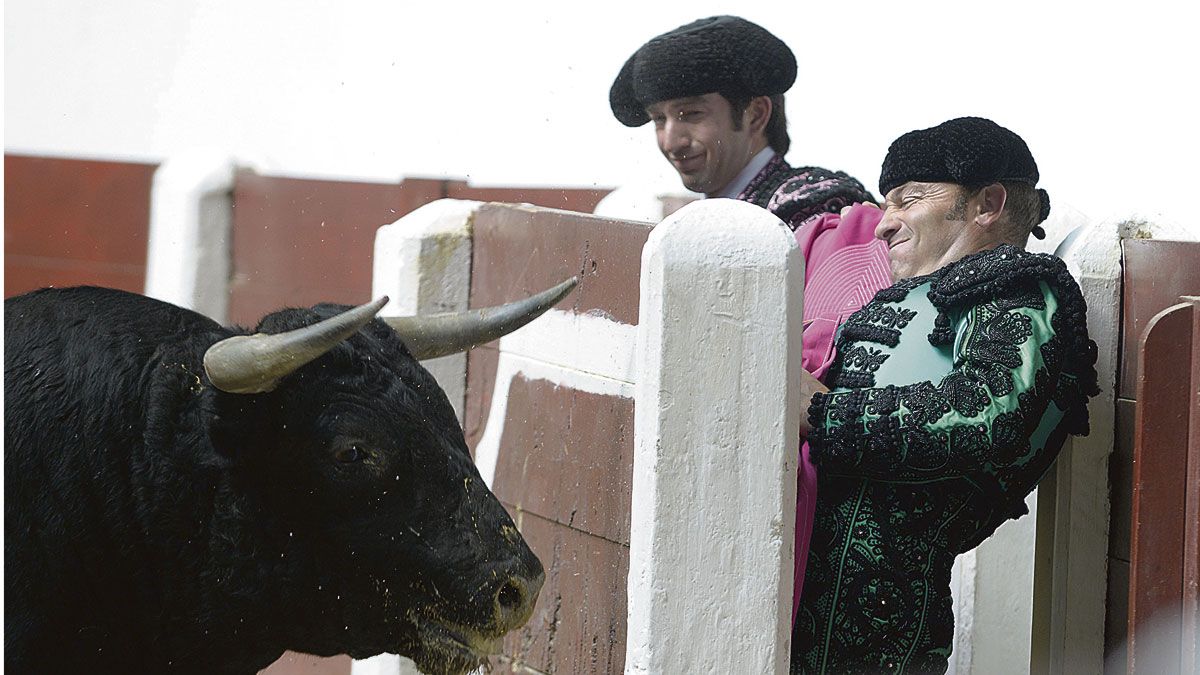 Toros y toreros ante el objetivo del fotoperiodista leonés. | MAURICIO PEÑA