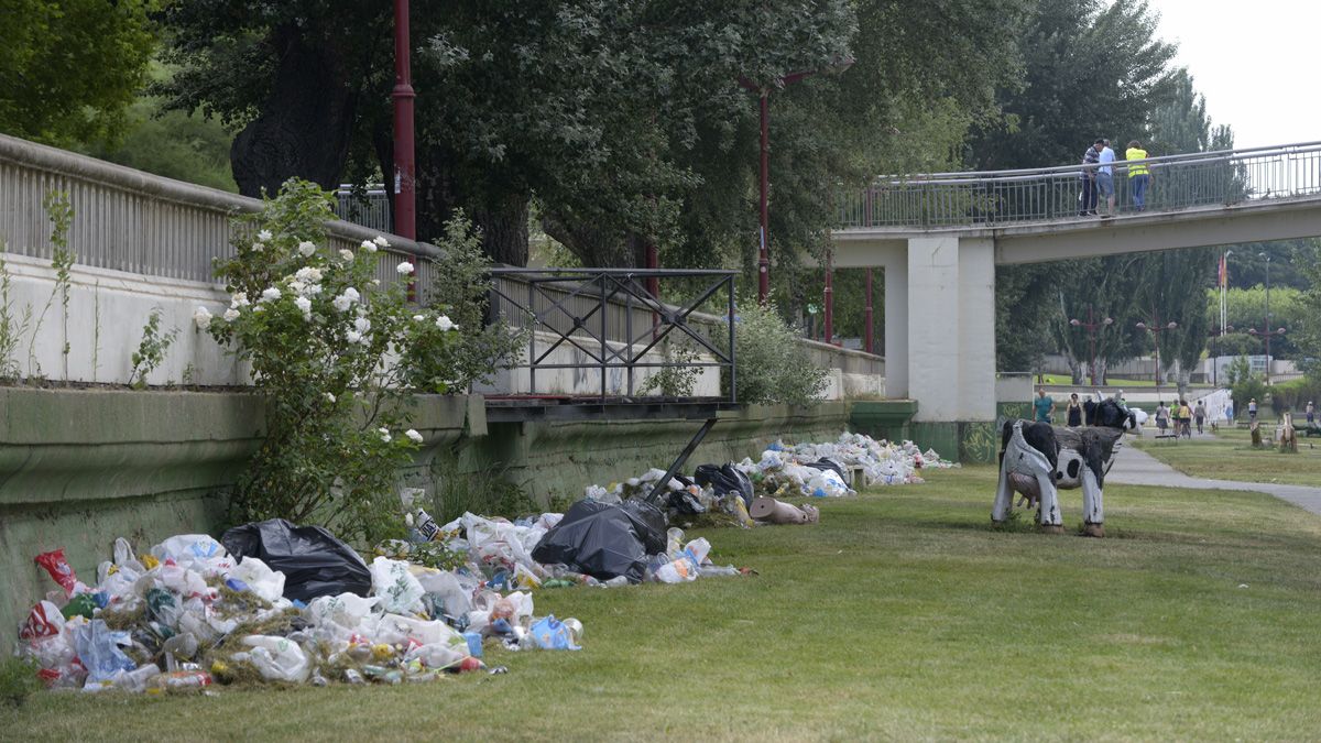 Parte de la basura recogida este sábado por la mañana por los servicios de limpieza. | MAURICIO PEÑA