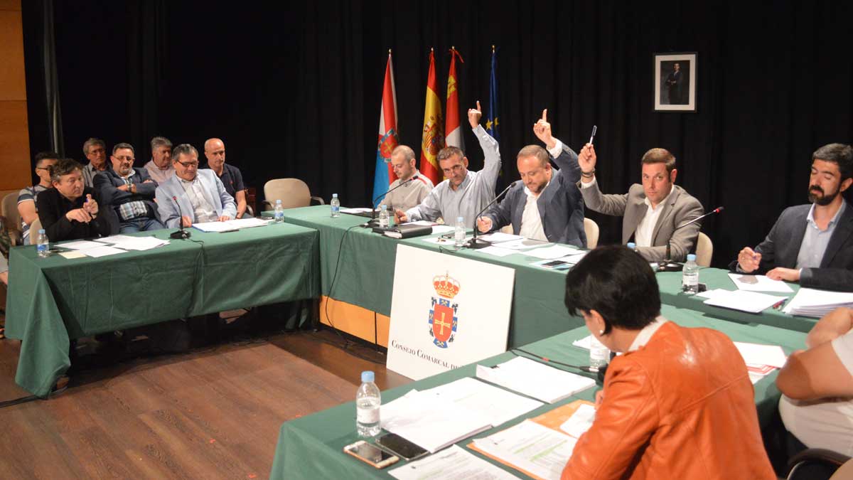 Pleno del Consejo Comarcal celebrado este miércoles en Ponferrada. | A. CARDENAL