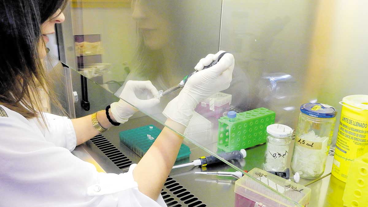 Una de las participantes en el doctorado en Biomedicina y Ciencias de la Salud. | ULE Una de las participantes en el doctorado en Biomedicina y Ciencias de la Salud. | ULE