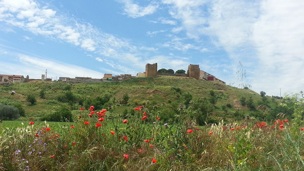 Visitar Valderas da para una jornada entera gracias a su riqueza patrimonial y también gastronómica. | T.G.