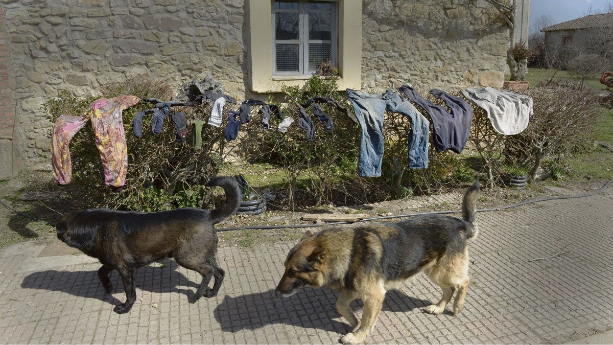 2015-03-26-a-la-contra.jpg 2015-03-26-a-la-contra.jpg
