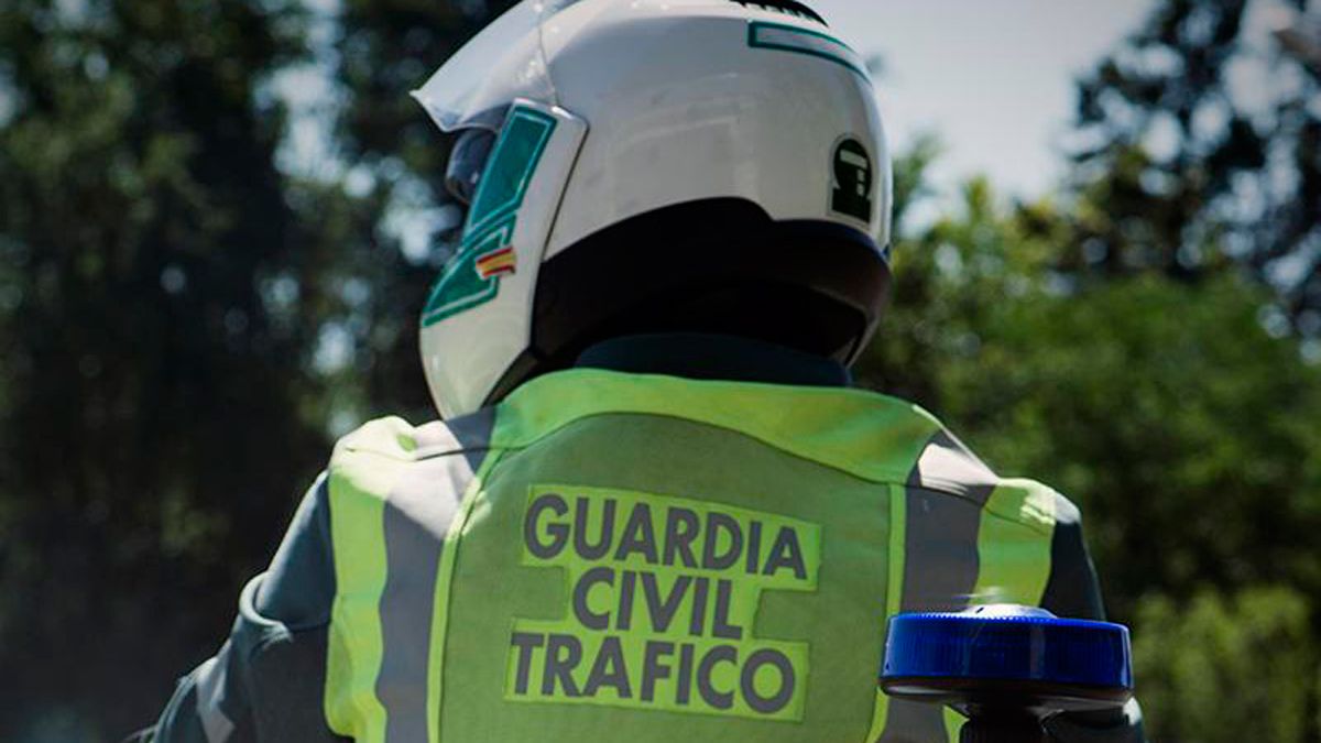 La Guardia Civil interceptó a los conductores en el vial que une Molinaseca con Riego de Ambrós. | GUARDIA CIVIL