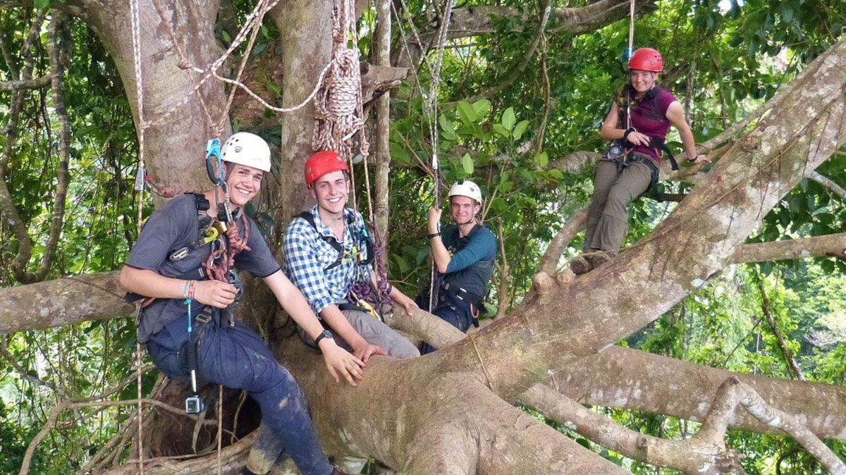 Alumnos del Colegio Peñacorada en las frondosas selvas de Indonesia.